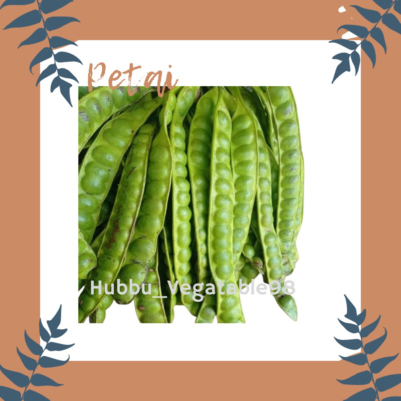 

Petei