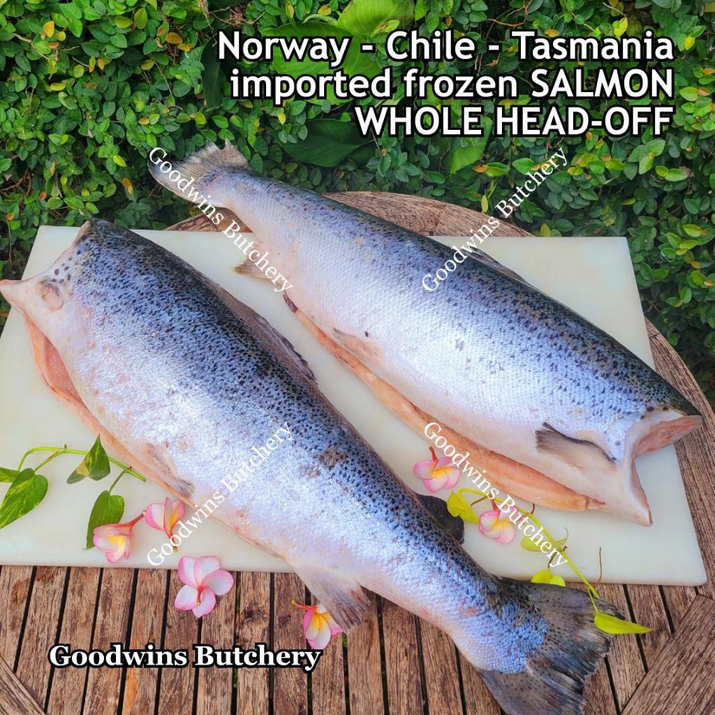 

Salmon WHOLE UTUH head-off frozen imported Norway / Chile / Tasmania