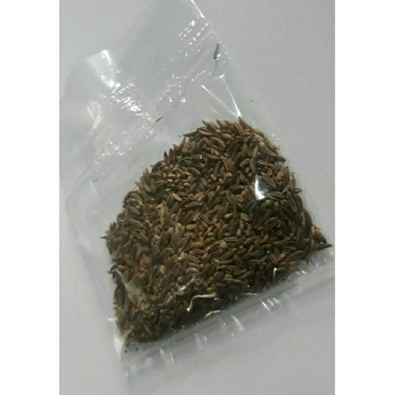 

jinten rempah kering bumbu dapur