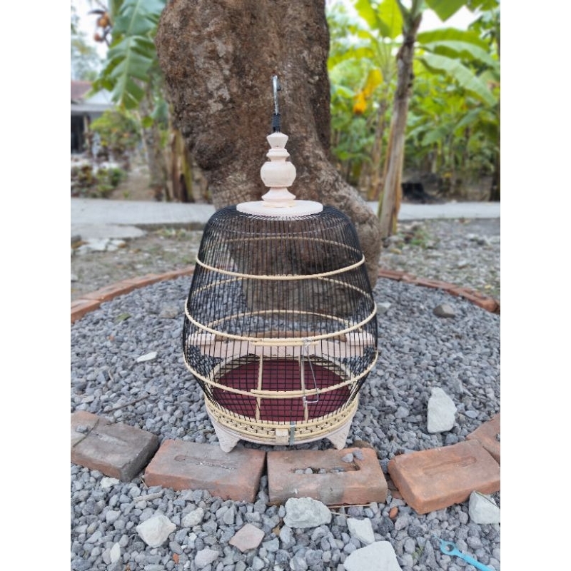 Sangkar Burung Perkutut Rajut Jemur Model Jambu