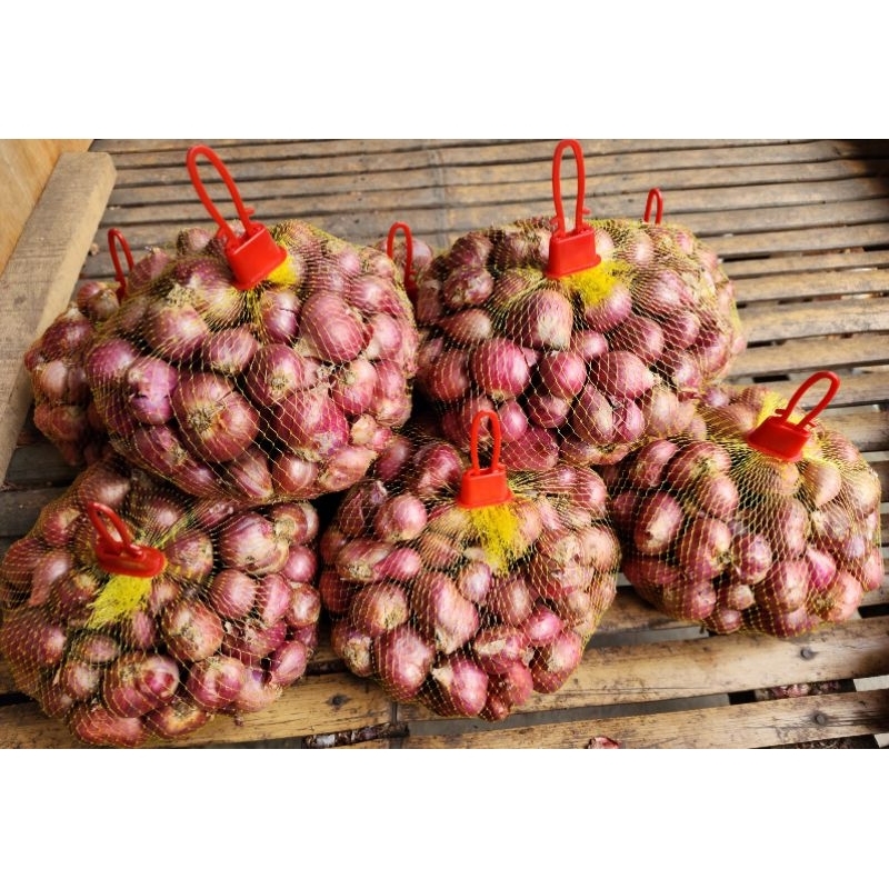 

BAWANG MERAH BIMA