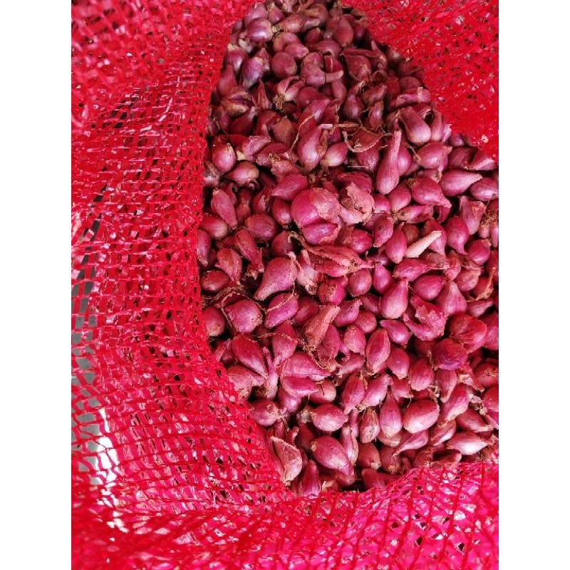 

bawang merah ukuran kecil 30kg