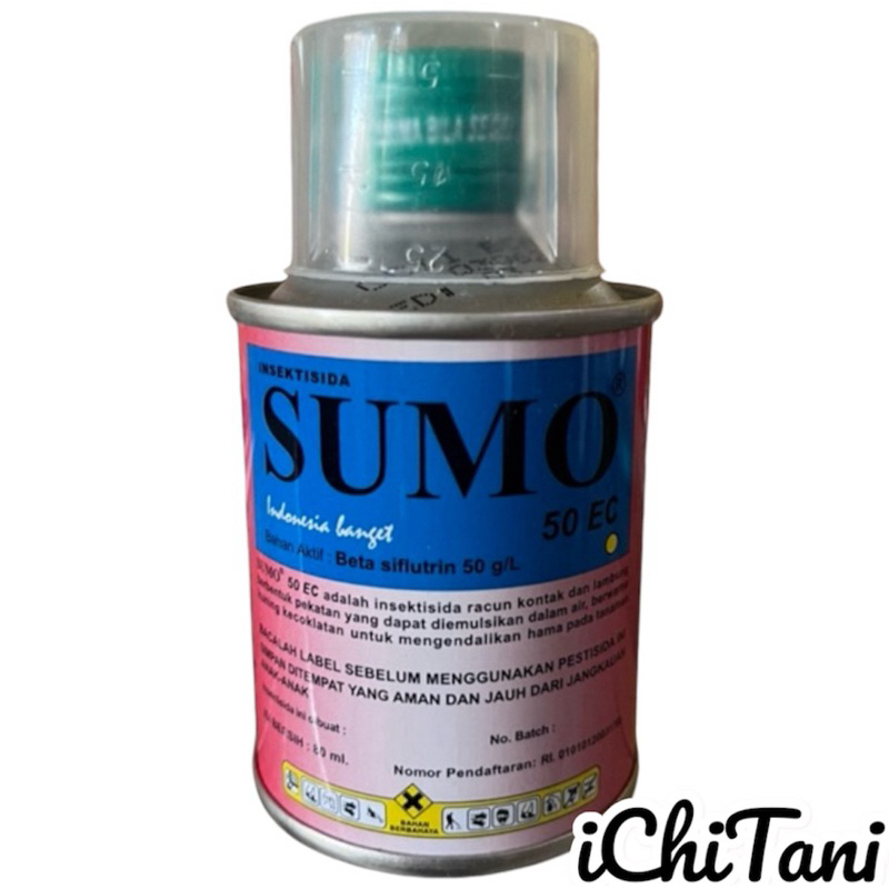 Sumo 80 ML