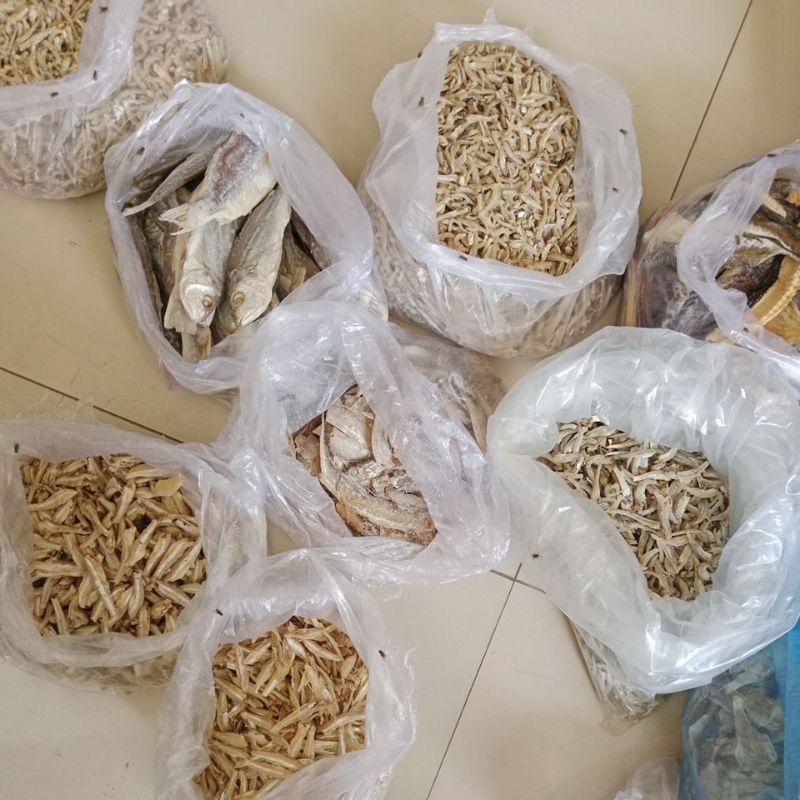 

CO LINK IKAN CAMPUR SARI