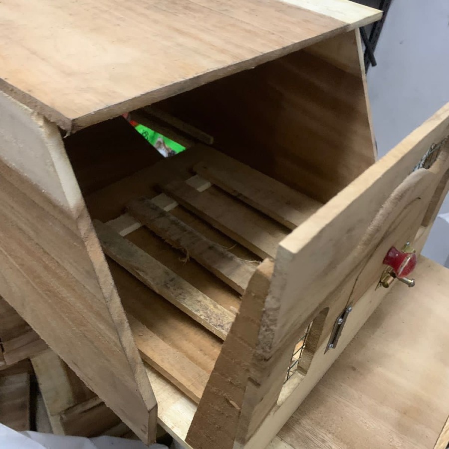 Gupon Batman Merpati Jumbo Rumah Burung Dara Besar Glodok Pigeon Big