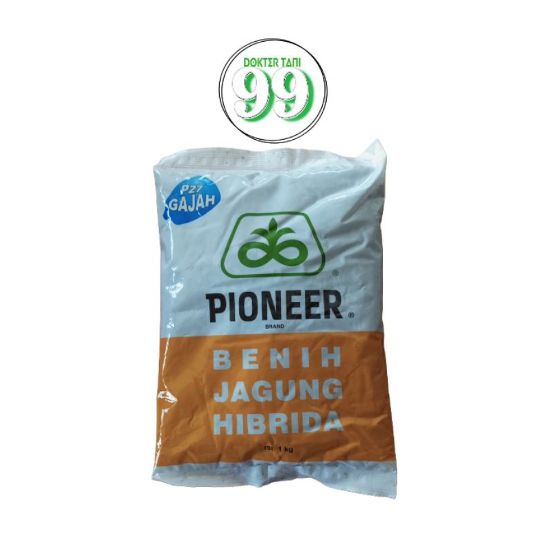 

Bibit Jagung P-27 Gajah 1kg Benih Jagung Hibrida Pioner 27 Gajah 1 KG