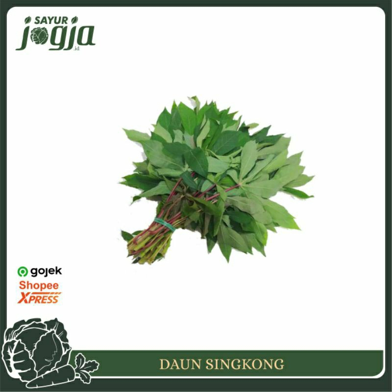 

Daun Singkong per Ikat