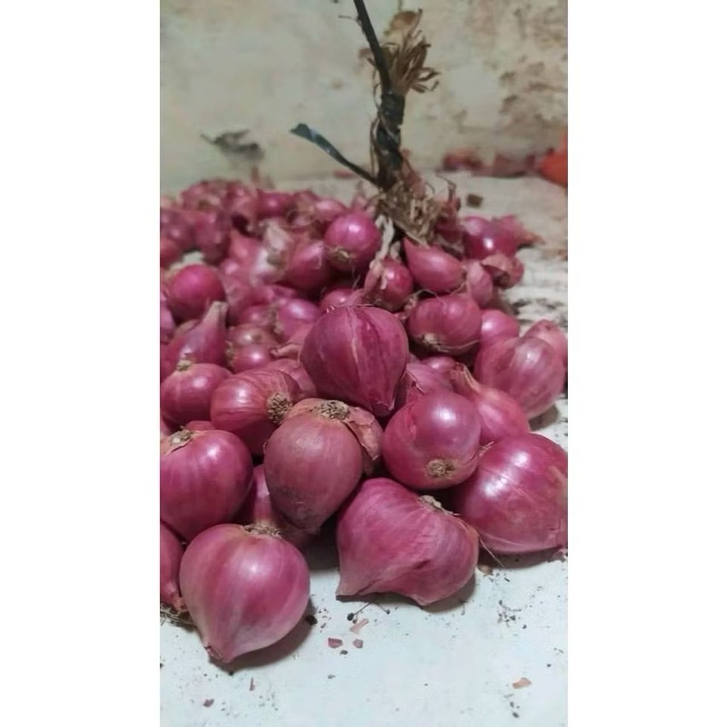 

Bawang Merah Super 500G