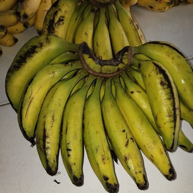 

pisang talas