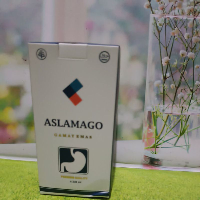 ASLAMAGO  untuk sakit magh