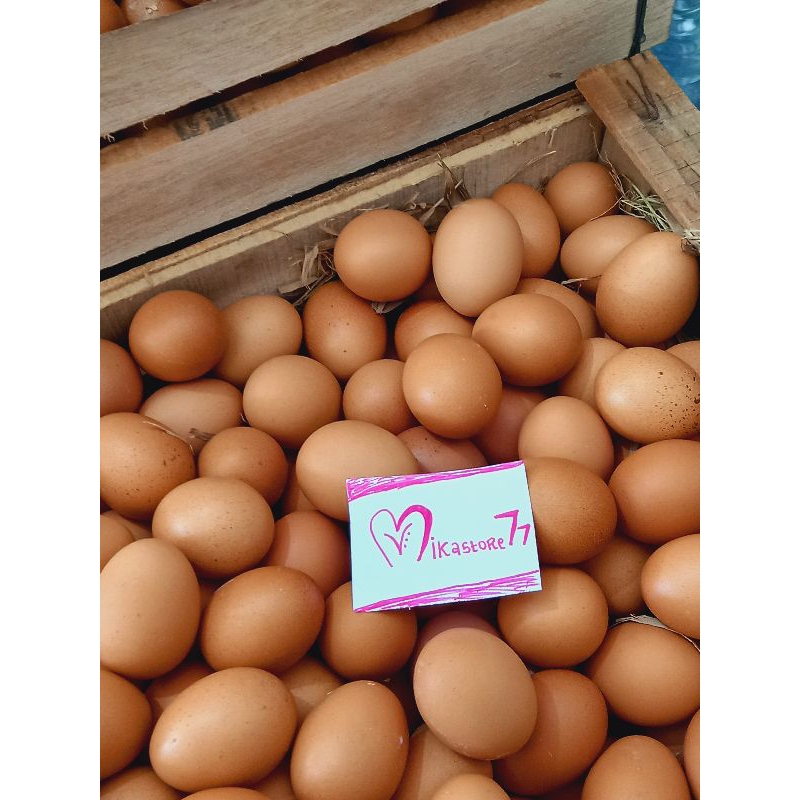 

TELUR AYAM NEGERI 1KG