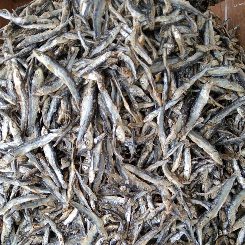 

ikan asin teri batu murah termurah harga grosir