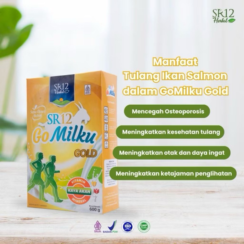 

PROMO!! SR12 Go Milku Gold Susu Kambing Etawa Rendah Lemak Tinggi Kalsium Bebas Gula - Original 100%