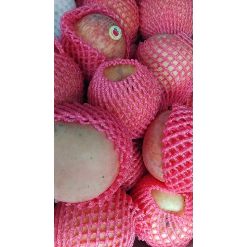 

Buah Manizz Apel Fuji