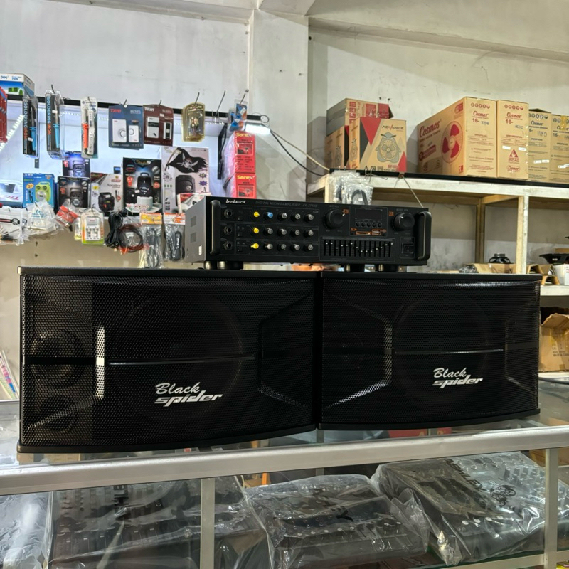 speaker black spider 10 inch sepasang speaker aja