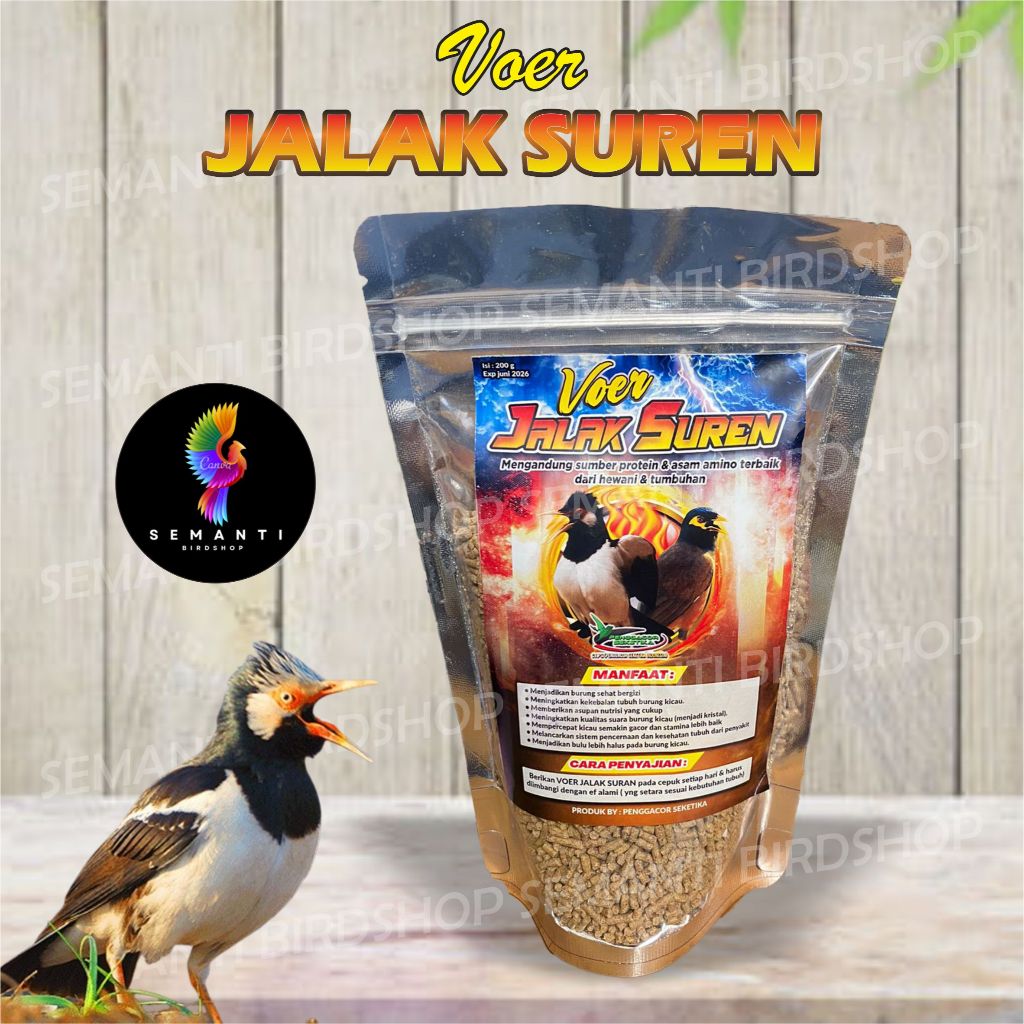 JUAL VOER JALAK SUREN BMW MAKANAN BURUNG JALAK SEPERTI JALAK UREN JALAK NIAS JALAK KEBO BALI SEMANTI