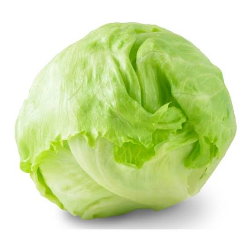 

lettuce fresh 500gram / head lettuce ice berg / instan dikirim h+1 sayuran sehat