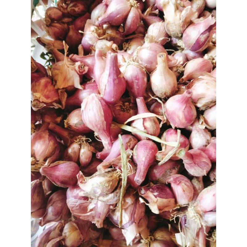 

bawang merah kecil brambang cilikan 1kg
