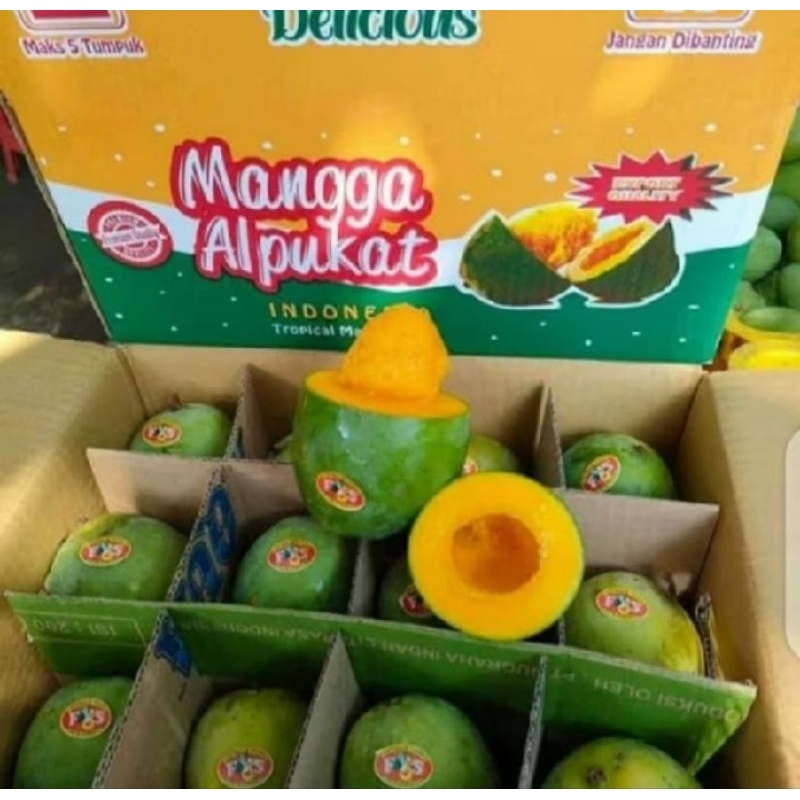 

Mangga Alpukat