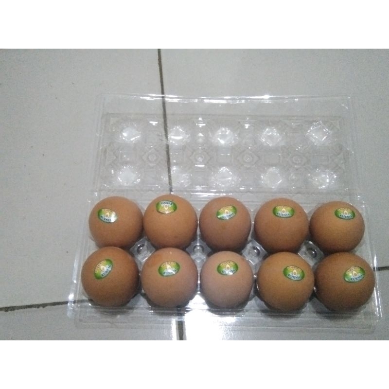 

Telur Asin Ayam 1 Cup Besar (10 Pcs) | Telur Asin Ayam Murah