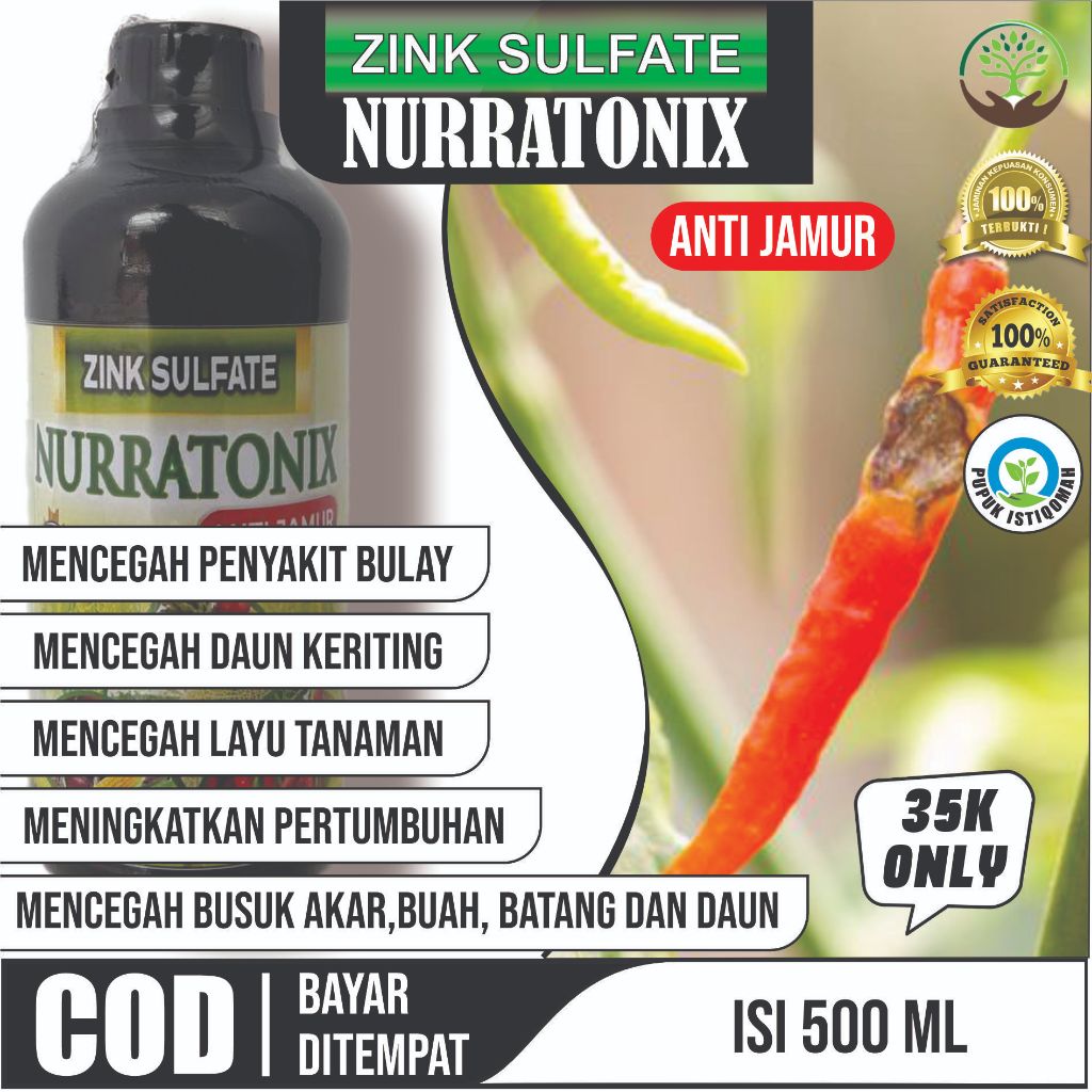 Obat Semprot Tanaman Cabe ZINK SULFATE NURRATONIX Atasi Patek, Layu Daun Fusarium, Busuk Akar Cabe, 