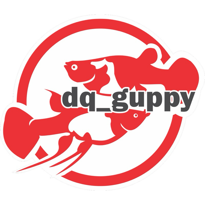 

HIASAN AQUARIUM Albino Koi Ribbon gen Red Ear