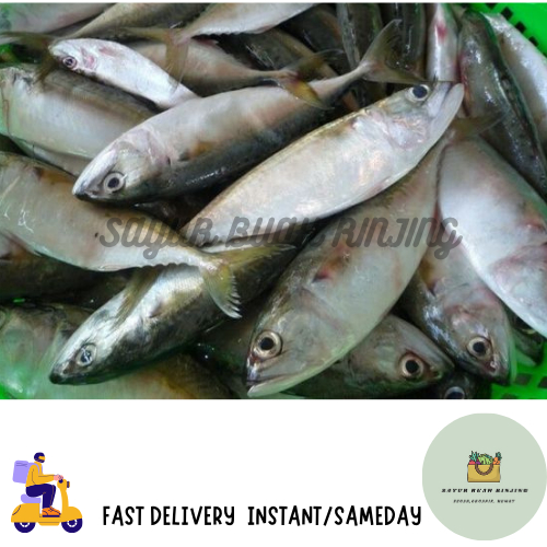 

Instant Ikan Kembung / Ikan Kembung Banjar / Ikan Kembung Layang