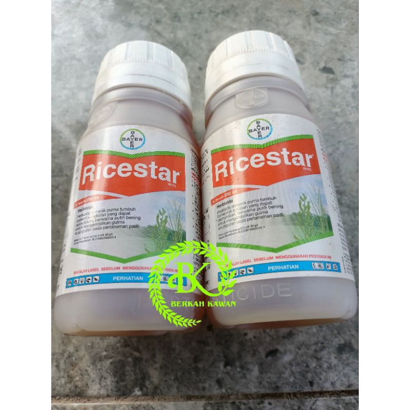 Ricestar 69 EC