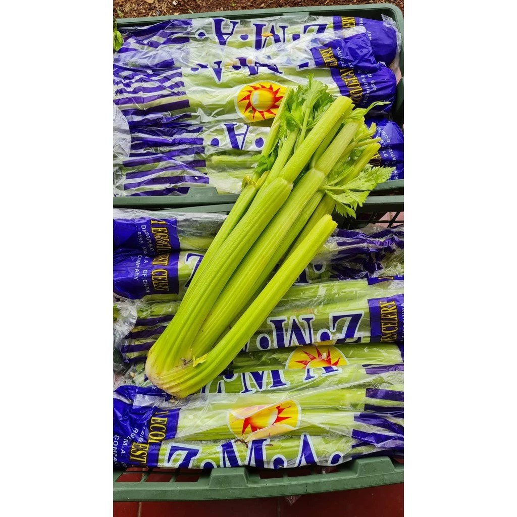 

Celery Stick Import 1kg / Celery Stick