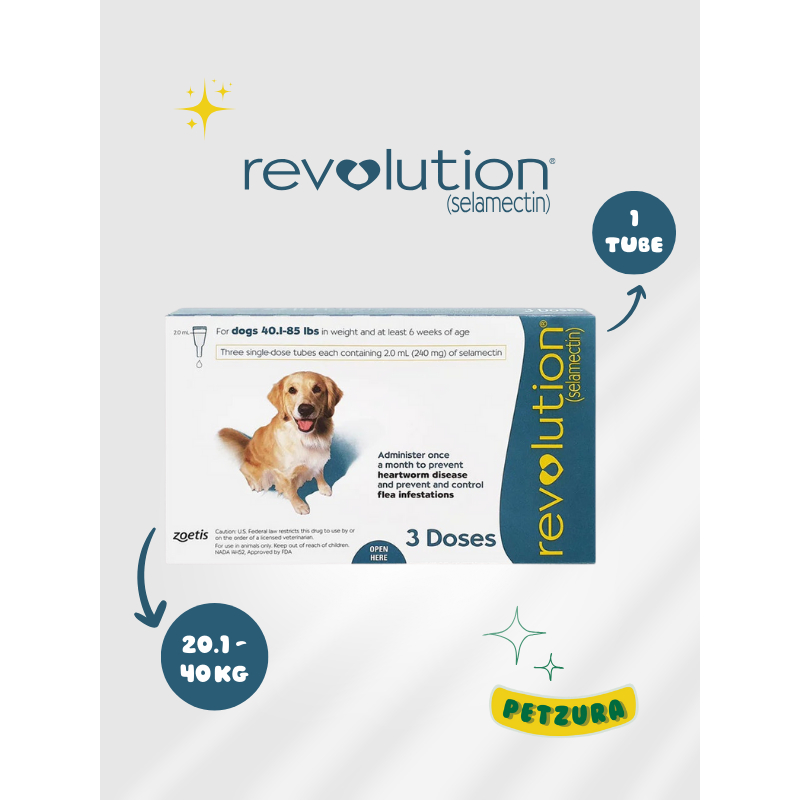 Revolution Teal Large Dog Obat Kutu Anjing Besar 2ml 1 Tube