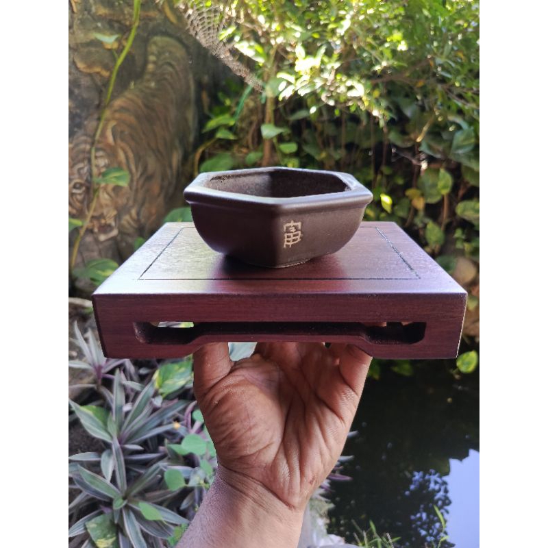meja bonsai/bonsai mame/meja kontes/meja hias/meja jepang