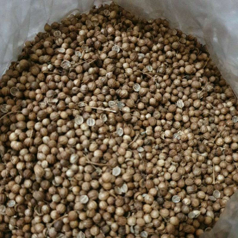 

Ketumbar Hitam 250 Gram