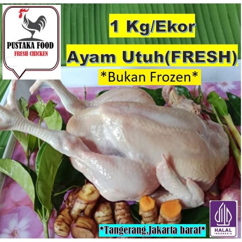 

Ayam Potong Broiler Utuh 1 Kg/Ekor.(FRESH) Bukan Frozen