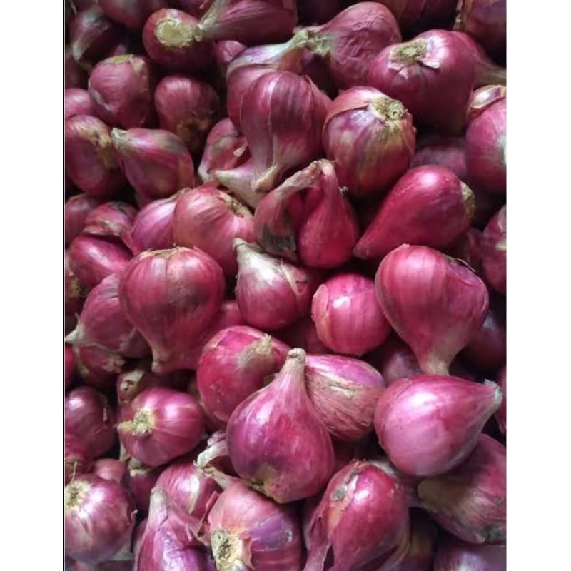 

Bawang Merah Brebes