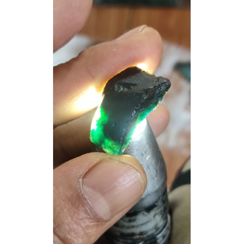 bacan doko majiko daging biru