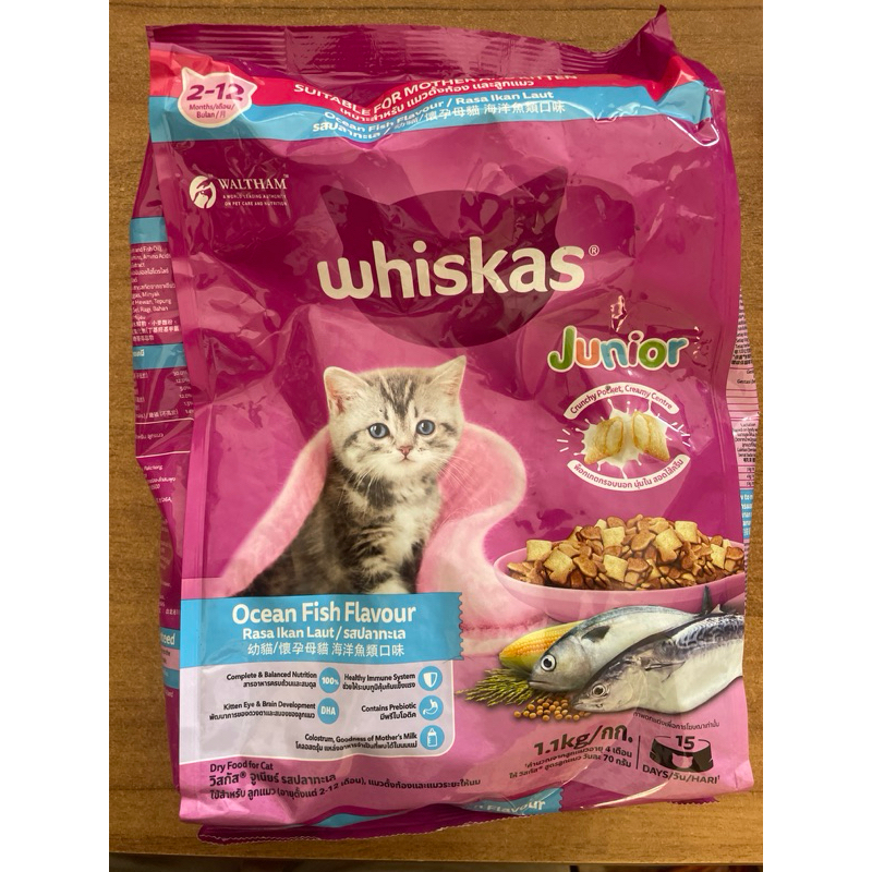 Whiskas junior makanan kucing dry food freshpack