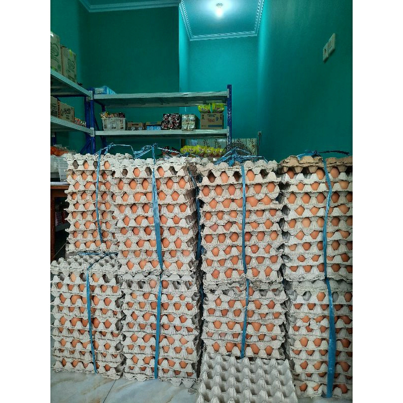 

Telur ayam 1 kilo harga 27.000 (delivery hanya sameday dan instant)