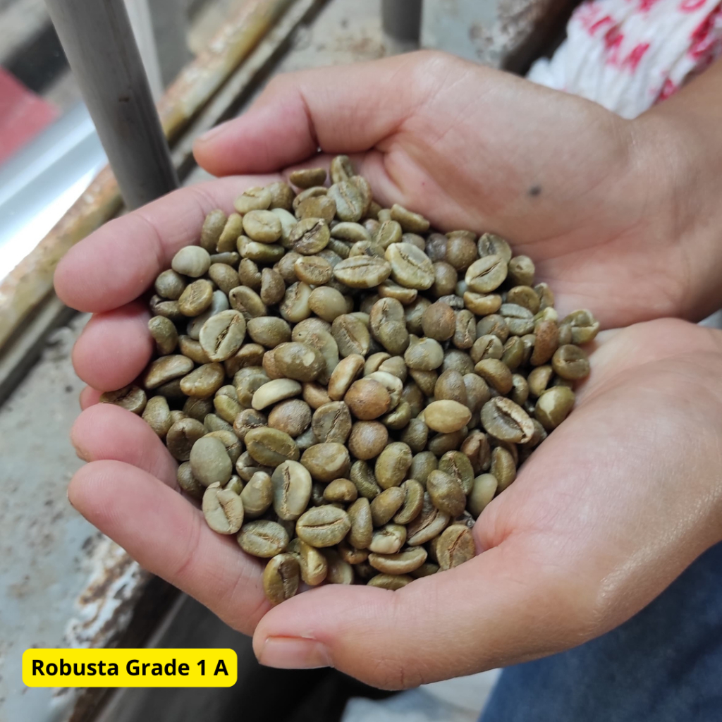 

Biji Kopi Green Bean Robusta Natural Sukabumi Grade 1