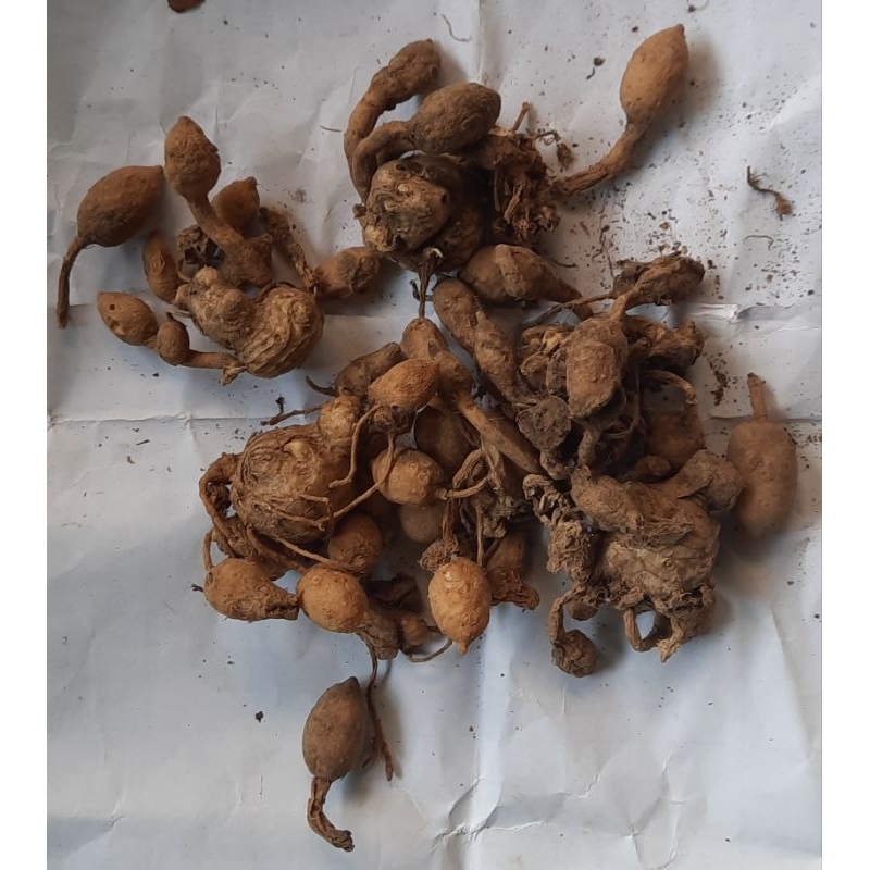 

kunci pepet ( 2 ons / 200 gram )
