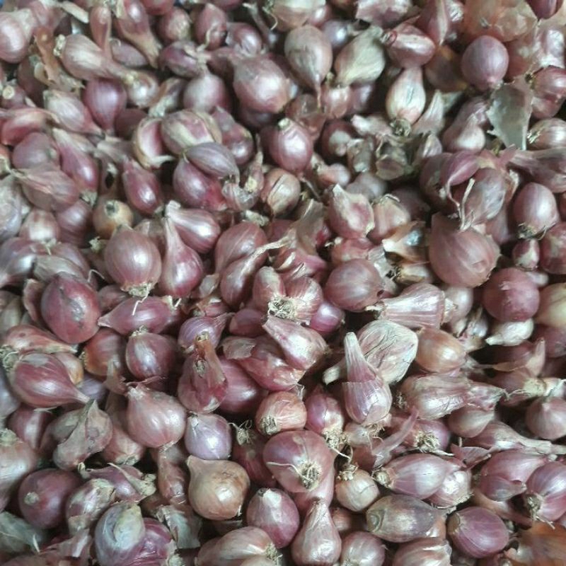 

Bawang merah campur kecil ekonomis kering 1 kg murah meriah