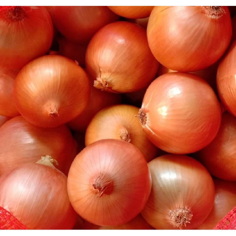 

Bawang Bombay Super Fresh 500gr