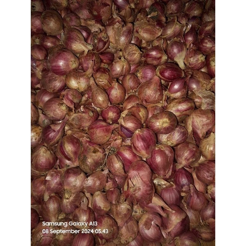 

bawang merah