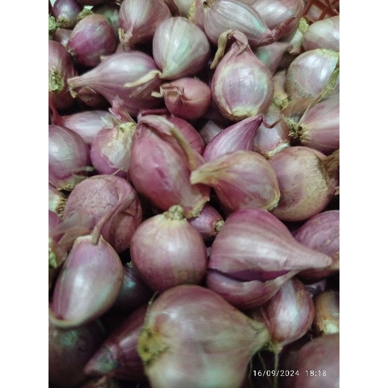 

Bawang Merah Kering Ukuran Kecil