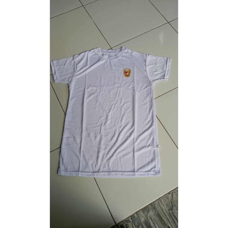 KAOS DALAM PNS TNI ori