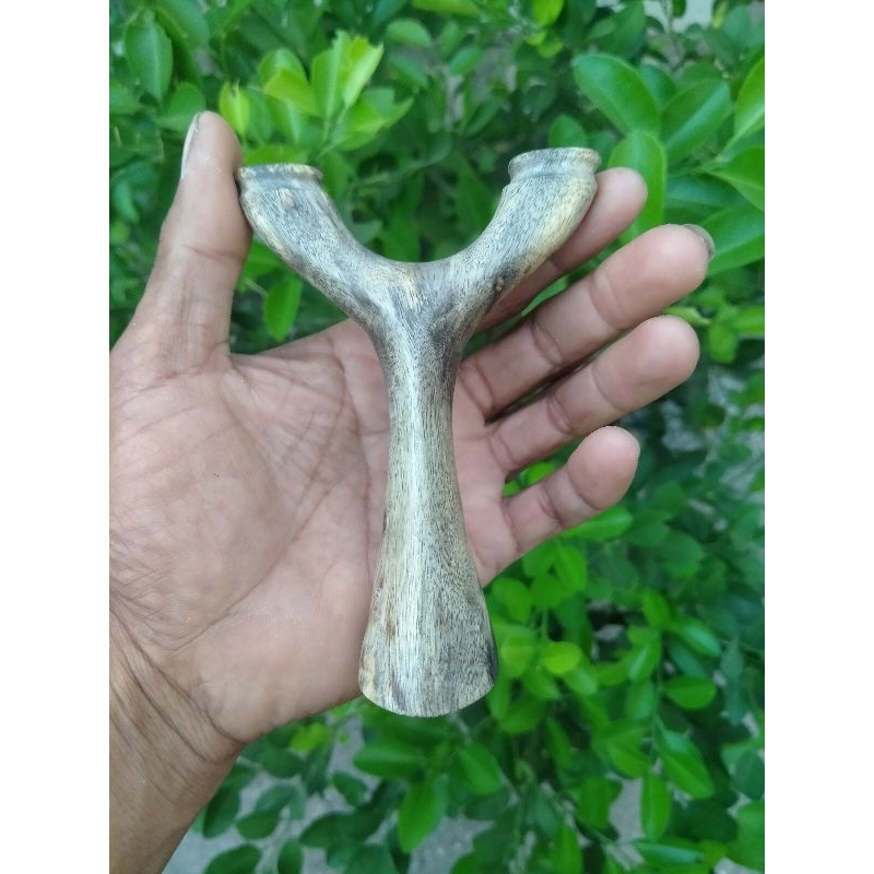 ketapel kayu Asam Jawa/ayonCATAPULT