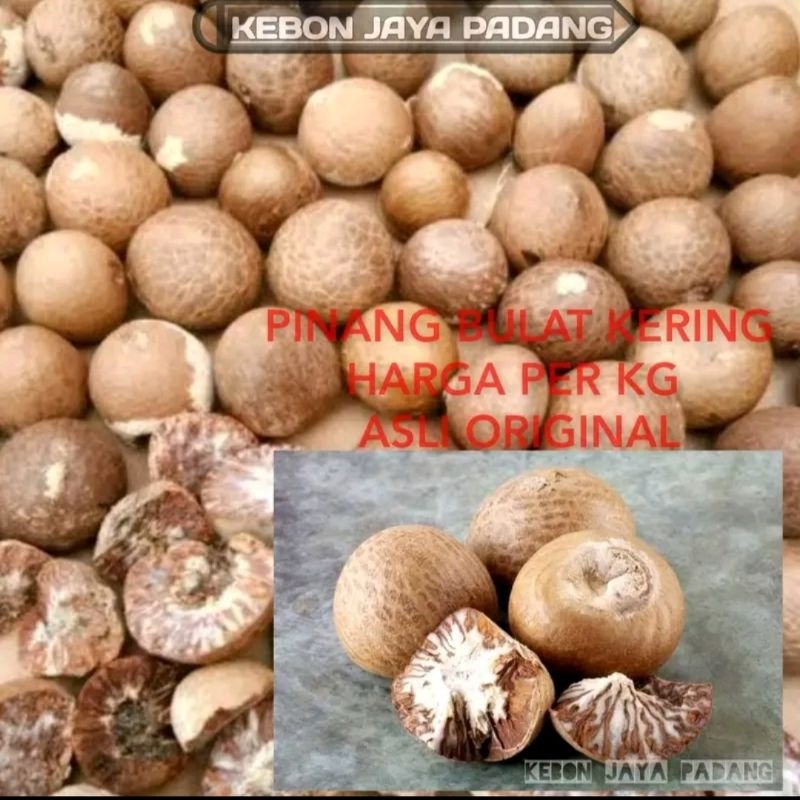 

Pinang Kering Original Harga 500gram Pinang Asli Kering