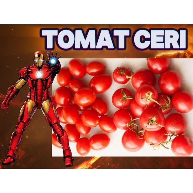 

TOMAT CERI / TOMAT CHERRY