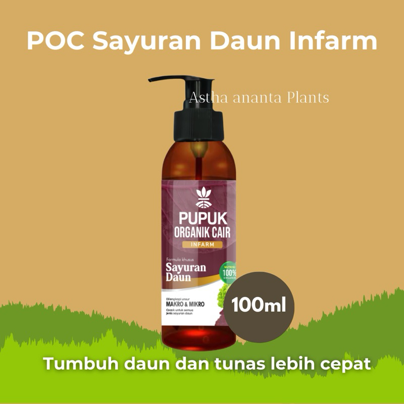 INFARM CIKARANG POC SAYURAN DAUN