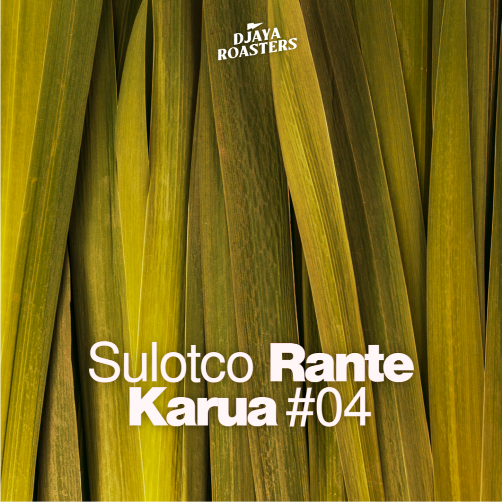 

Toraja Sulotco Rante Karua Bumi #04 - Single Origin Filter Coffee