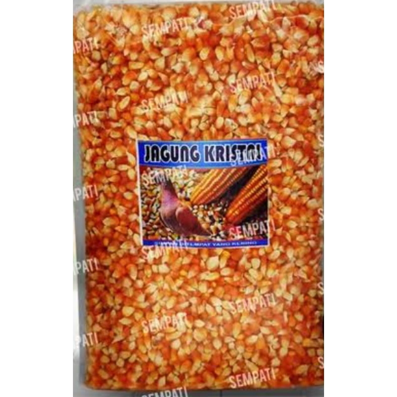 Jagung Kecil Jagung Kristal Pakan Burung Ayam Jagung GOTER